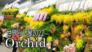 【4K Orchid】Japan Grand Prix International Orchid and Flower Show 2022世界らん展2022 4K Orchid [upl. by Imeaj]