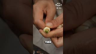 How To Enjoy Lotus Seeds [upl. by Idak]