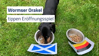 Wormser EMOrakel tippen Eröffnungsspiel [upl. by Asset84]