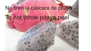 No tiren la cáscara de Pitahaya Do not throw the Pitahaya peel [upl. by Pavlish210]