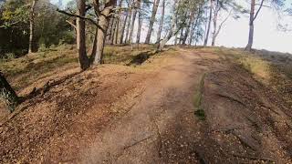 MTB Trails in der Fischbeker Heide [upl. by Eiresed975]