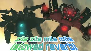 zile zile mile mile song slowed reverb [upl. by Encratis]