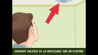 Comment enlever de la moisissure sur un plafond [upl. by Charmian39]