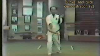 Master Seiyu Oyata  bunkaituite demo 2 [upl. by Hazmah]