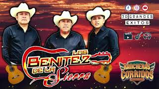 Los Benitez dela Sierra 🔥 Corridos y Rancheras 🔥 30 Grandes Exitos Guitarras Mexico 🔥 Para Pistear [upl. by Hermia883]