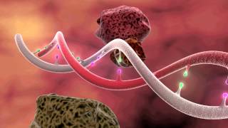 DNA Mutation 3D Animation [upl. by Naihs]