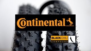 Continental Mountain King TIRES 29 x 22  XKing 29 x 24 and 22 Quick Check [upl. by Htial385]