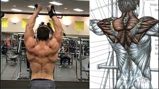 7 Combinaciones para Espalda y Hombros Back and SHoulders Workout [upl. by Guendolen]