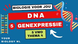 5 vwo  DNA  5  Genexpressie [upl. by Wendy]