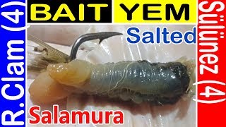 Balık Yemi Sülünez Salamura nasıl hazırlanır Sardalya kokulu Sülünez yapılışı Surf Casting 7fishing [upl. by Sedecrem]