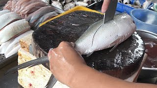 Super Fast Precise Fish Cutting Skills amp Expensive Mullet Roe 烏魚子カラスミ [upl. by Oigroeg]