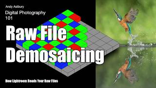 Digital Photography 101 Raw File Demosaicing [upl. by Azilef]