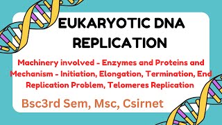 DNA Replication in Eukaryotes Mechanism and Machinery Csirnet Gate IIT JAM CUET PG [upl. by Ehpotsirhc90]