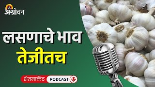 Cotton Soybean Market कापूस बाजारभाव सोयाबीन भाव हरभरा बाजार गवार दर  Agrowon ॲग्रोवन [upl. by Genna154]