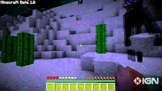 Minecraft 18 Enderman Gameplay [upl. by Jarvis982]