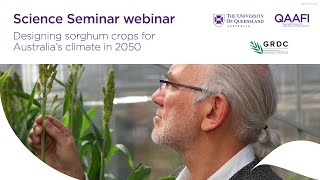 Designing sorghum crops for Australia’s climate in 2050 [upl. by Annoerb579]