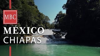 Walking in Roberto Barrios Waterfalls  Chiapas  Mexico 4K [upl. by Olwen]