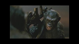 Caesar vs Koba Final Fight Part 1  Dawn of the Planet of the Apes 2014LOWI [upl. by Barrie254]