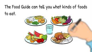 Canadas Food Guide Healthy Eating Habits and Choices Food Groups Health Education [upl. by Aidni]