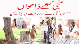 Manji kety dawa Funny \ Ustad Sulli Heli copter SaimaGamaand Others [upl. by Dayle]