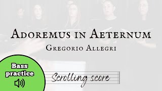 Adoremus in Aeternum  Allegri  Bass practice with score [upl. by Nerha]