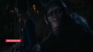 இது 53 பாகம்  See my channel playlist  Kingdom of the Planet of the Apes in Tamil [upl. by Colwen]