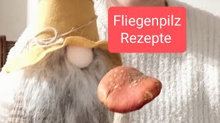 Fliegenpilz mit Berserker Kraft für Nerven Schlaf Parkinson Burnout Rheuma Ängste [upl. by Naitsirc155]