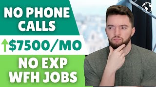 10 NonPhone Remote Jobs No Experience Paying Up to 7500Month [upl. by Morentz]