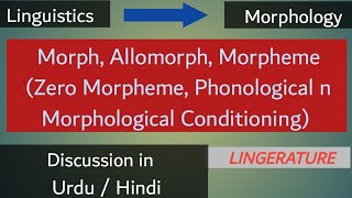 Morph  Allomorph  Morpheme  Zero Morpheme  phonological n Morphological Conditioning [upl. by Zoa842]