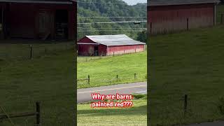 Why are barns painted red [upl. by Atirehc]