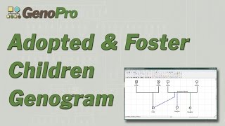 Adopted amp Foster children in genograms [upl. by Cutcliffe]