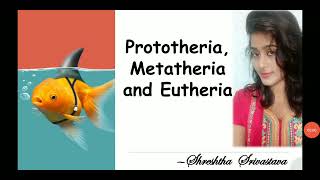 biology science gicmains upsc Prototheria Metatheria and Eutheria [upl. by Corbie]