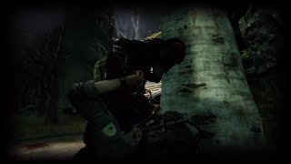 DBD FUN TIMES compilation [upl. by Sofer752]