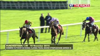 Punchestown Highlights 16th November 2014 [upl. by Freeman]