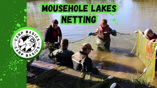 MOUSEHOLE LAKES NETTING  Carp Fishing  Carp Basics  Kingfisher Lake  2023 [upl. by Dasteel]