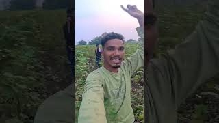 Sikri 🌱🌾shots viralvideo sikriganjnews chhetri [upl. by Cohleen]