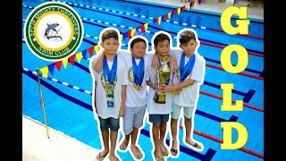 SPCIP MIGHTY THRESHERS SWIM CLUB WINS GOLD  200M MEDLEY RELAY 2019 [upl. by Xonk]