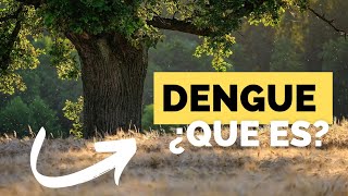 Que es el dengue 2024 [upl. by Allehcram]