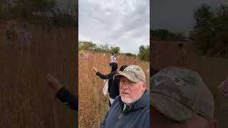 Picking Big Bluestem p2 [upl. by Annahsal]