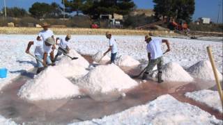 Saline di Trapani video completo produzione sale marino integrale Cuordisale Salinagrande 2014 [upl. by Perice]