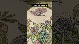 Painting mandala by brush pens❤️aesthetic art diy craft [upl. by Camellia853]