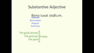 Substantive Adjectives [upl. by Egreog]