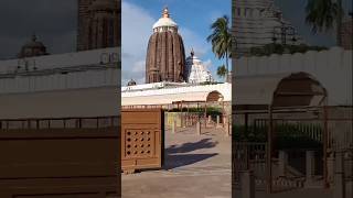 Guhari suna 🙏🙏🙏ytshorts youtube jagnnatha temple [upl. by Kina93]