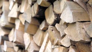 How to identify good firewood [upl. by Ibbob]