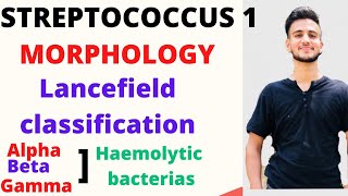 Streptococcus microbiology Lancefield classification of Streptococcus Camp Test [upl. by Ahsatam329]