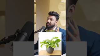 About Plants ☘️ podcast shorts money plants interview vastu real ytshort tree shortsfeed [upl. by Eiralav294]