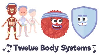 Twelve Body Systems Song [upl. by Ayna621]