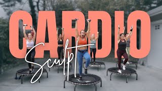 30 MIN HIIT Mini Trampoline Cardio Sculpt  At Home Fat Burn Workout [upl. by Malet976]