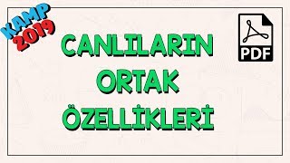 Canlıların Ortak Özellikleri [upl. by Kcirderfla545]