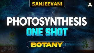 PHOTOSYNTHESIS CLASS 11 ONE SHOT  NEET 2024  ALL CONCEPT AND TRICKS  BOTANY BY SANKALP BHARAT [upl. by Emersen286]